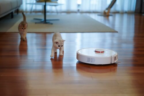 Things to Consider Before Purchasing Robotic Vacuum Cleaner