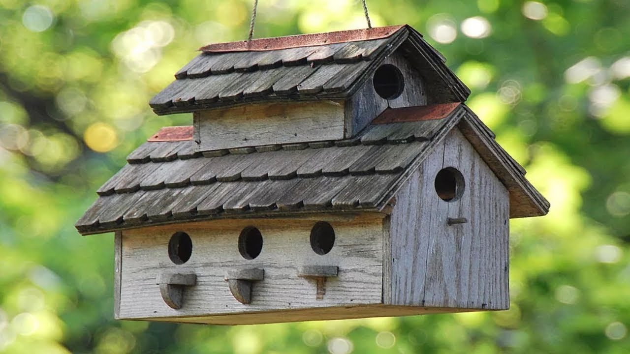 DIY Bird House Ideas
