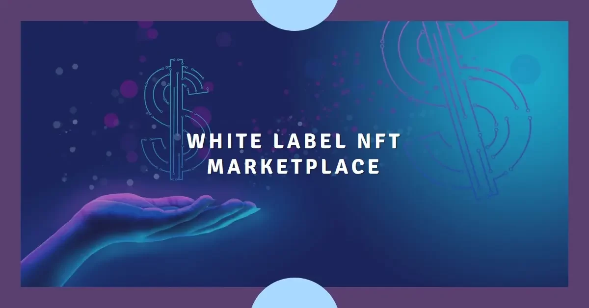 11 Key Features of White Label NFT Marketplace