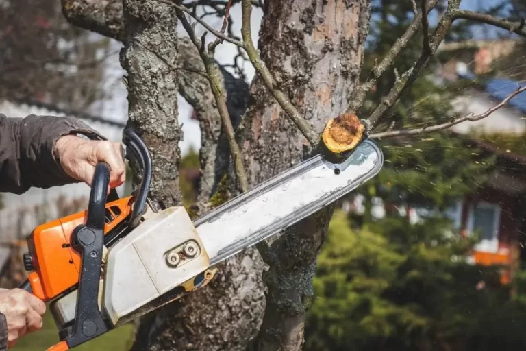 Cutting-Edge Tree Care